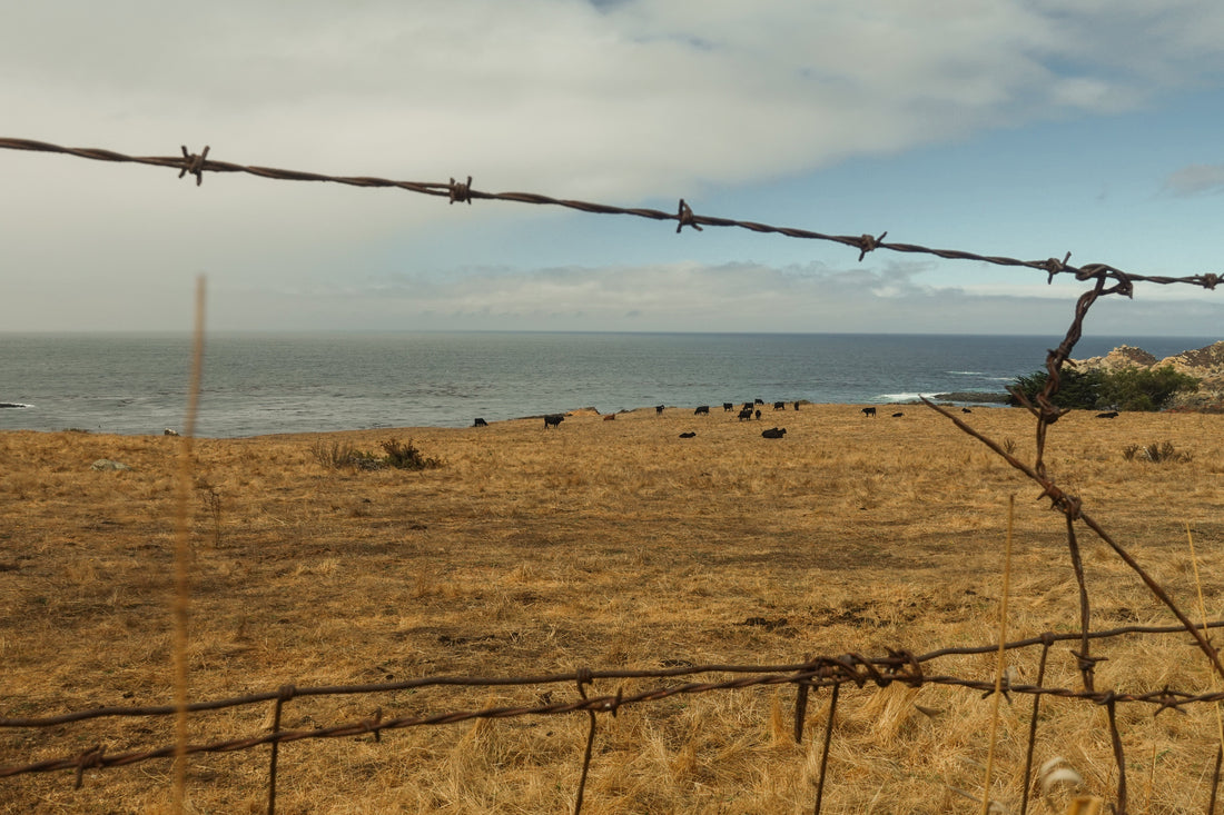 THE POWER OF PATIENTS