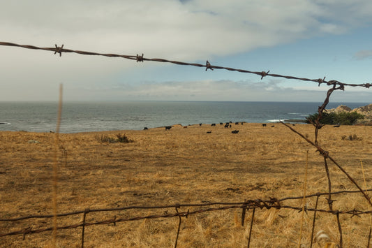 THE POWER OF PATIENTS