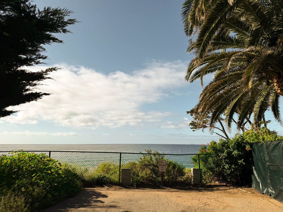 YOUR BRAIN IS CONSTRUCTING REALITY